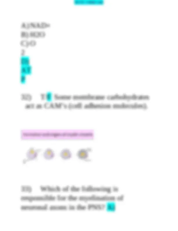 Biology Exam Questions and Answers | Exams Biology | Docsity