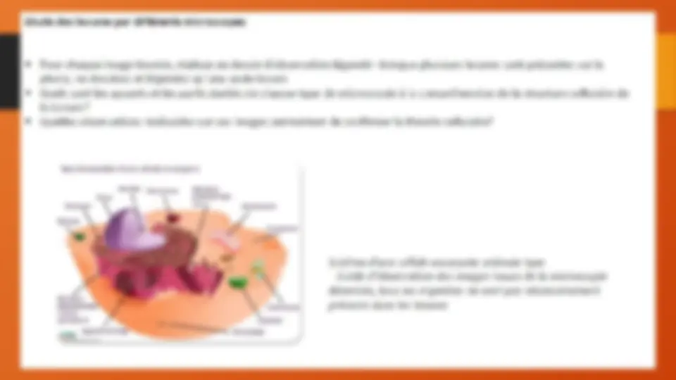 pf33