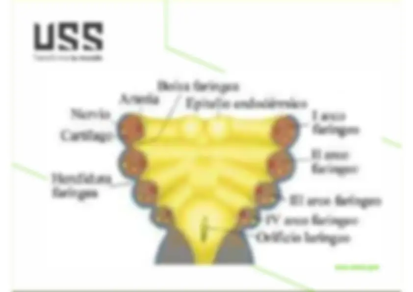 pf5