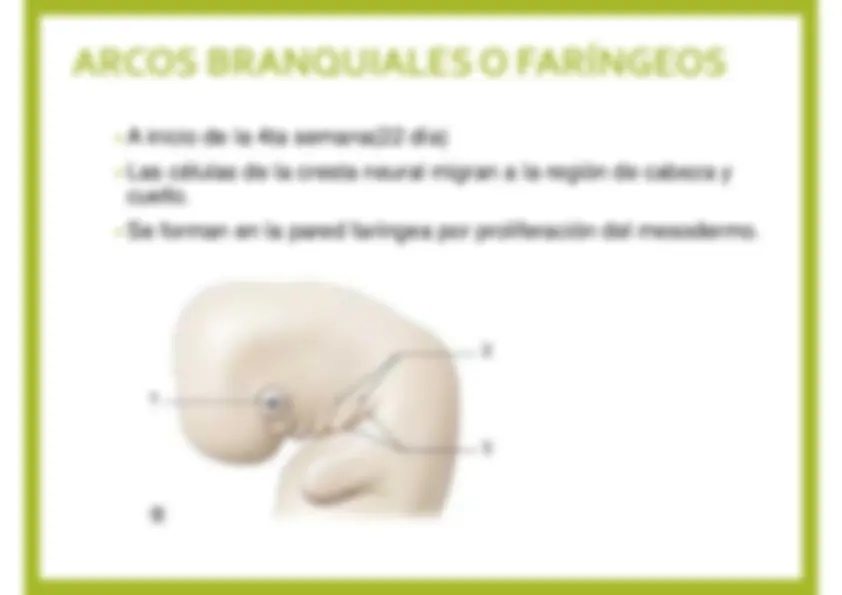 pf3
