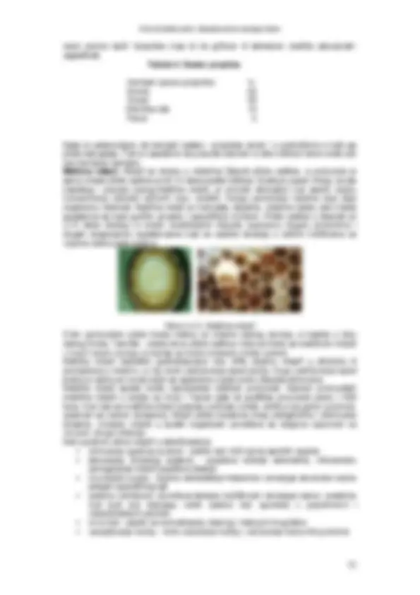 pf34