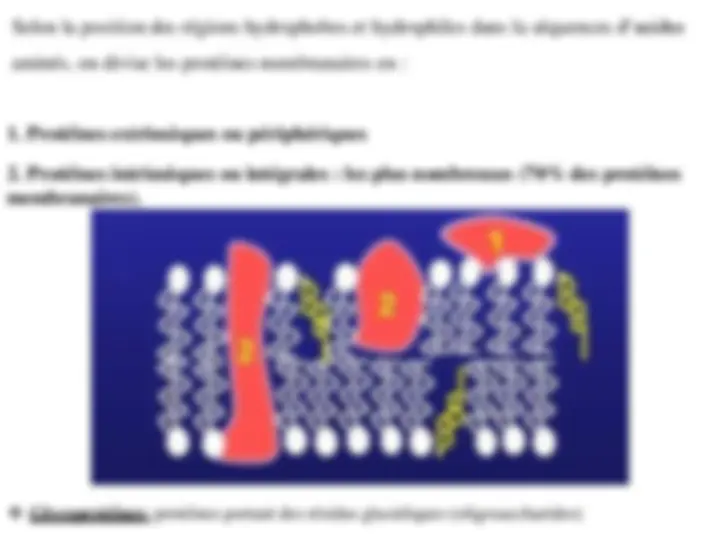pf14