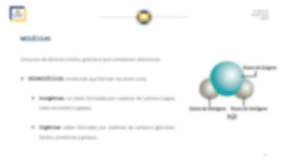 pf4