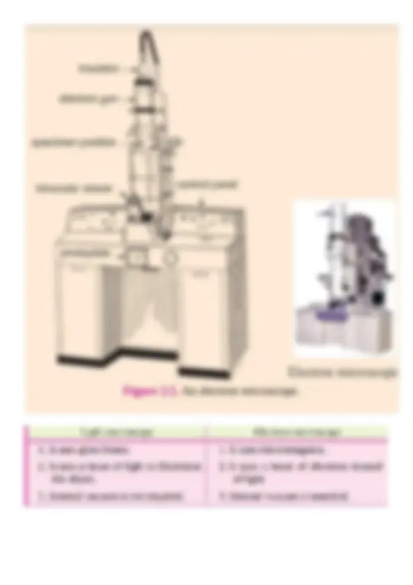 pf4