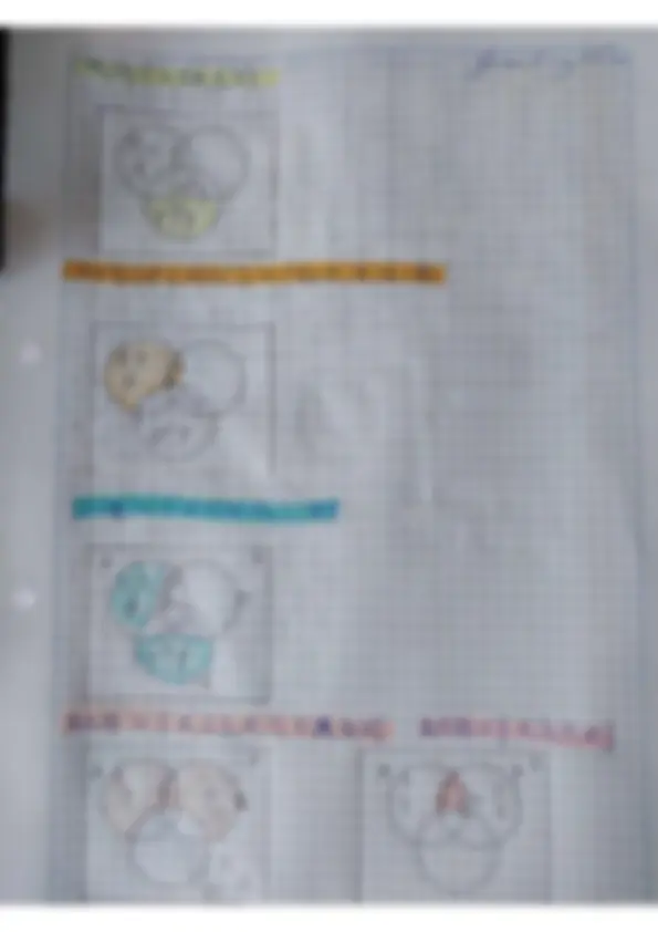 pf5