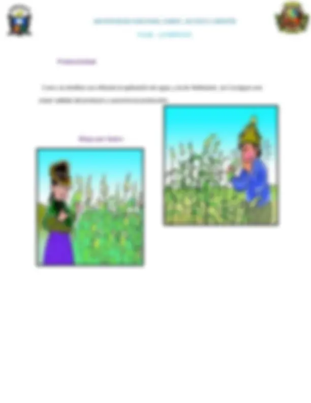 pf16