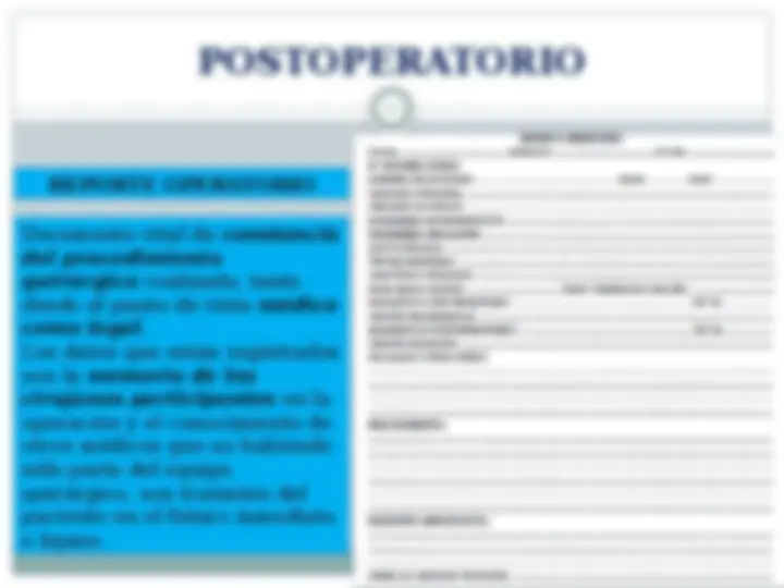pf20