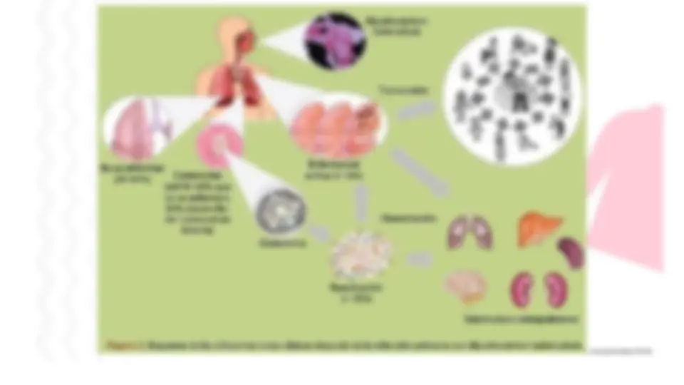 pf13
