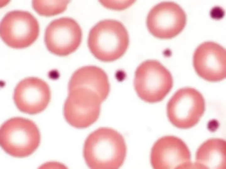 pf32