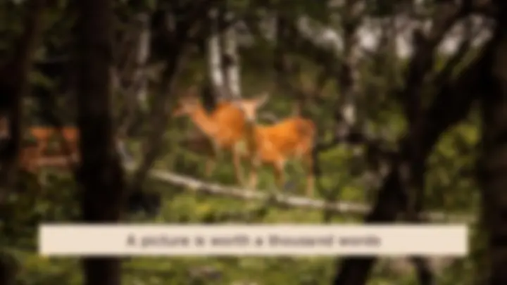 pf3f