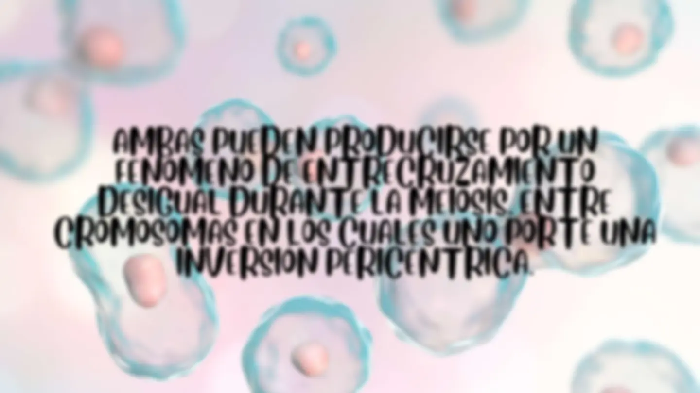 pf13