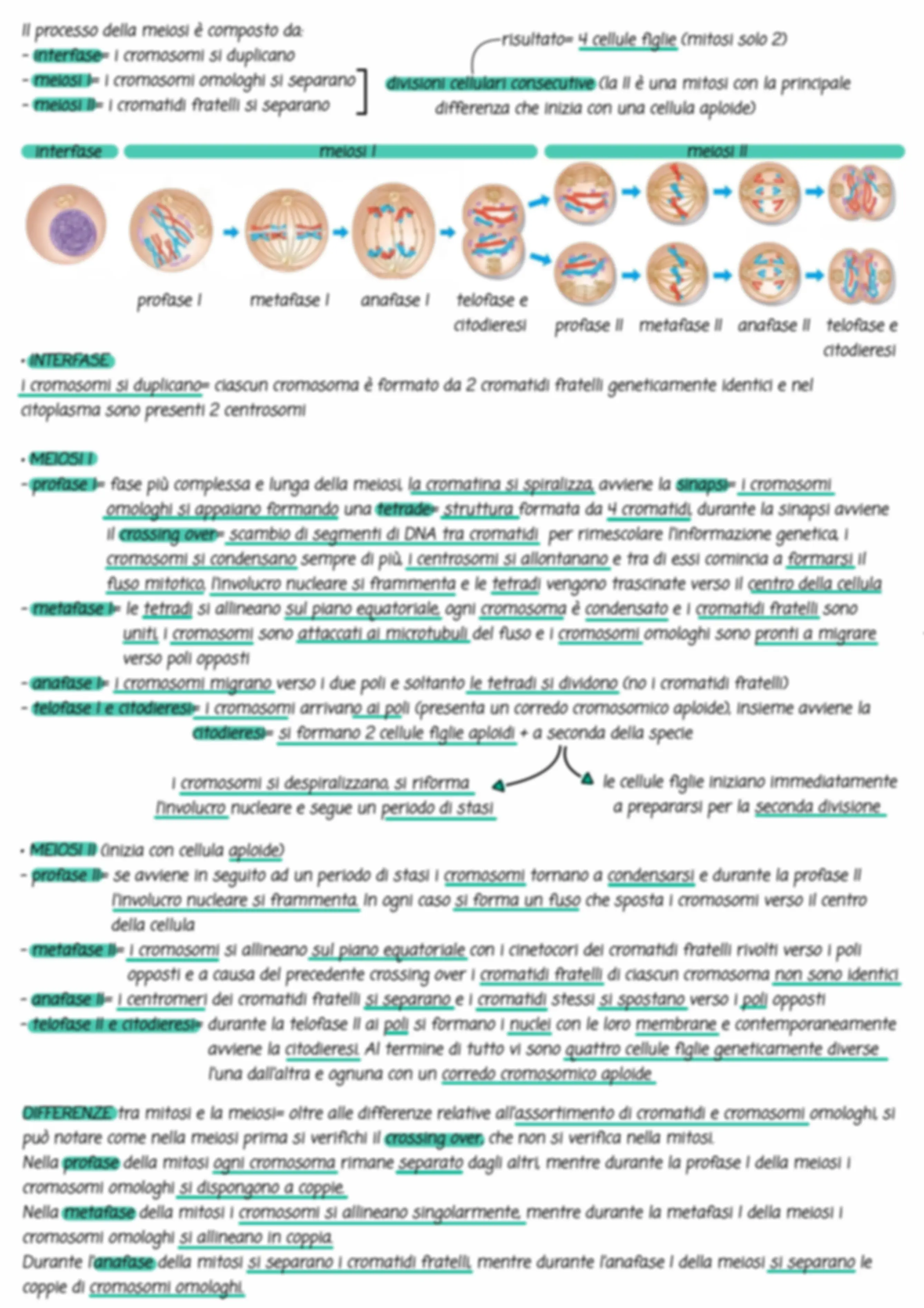 pf3