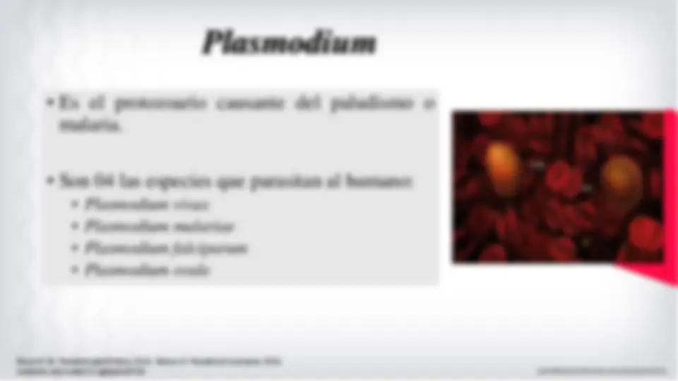 pf3