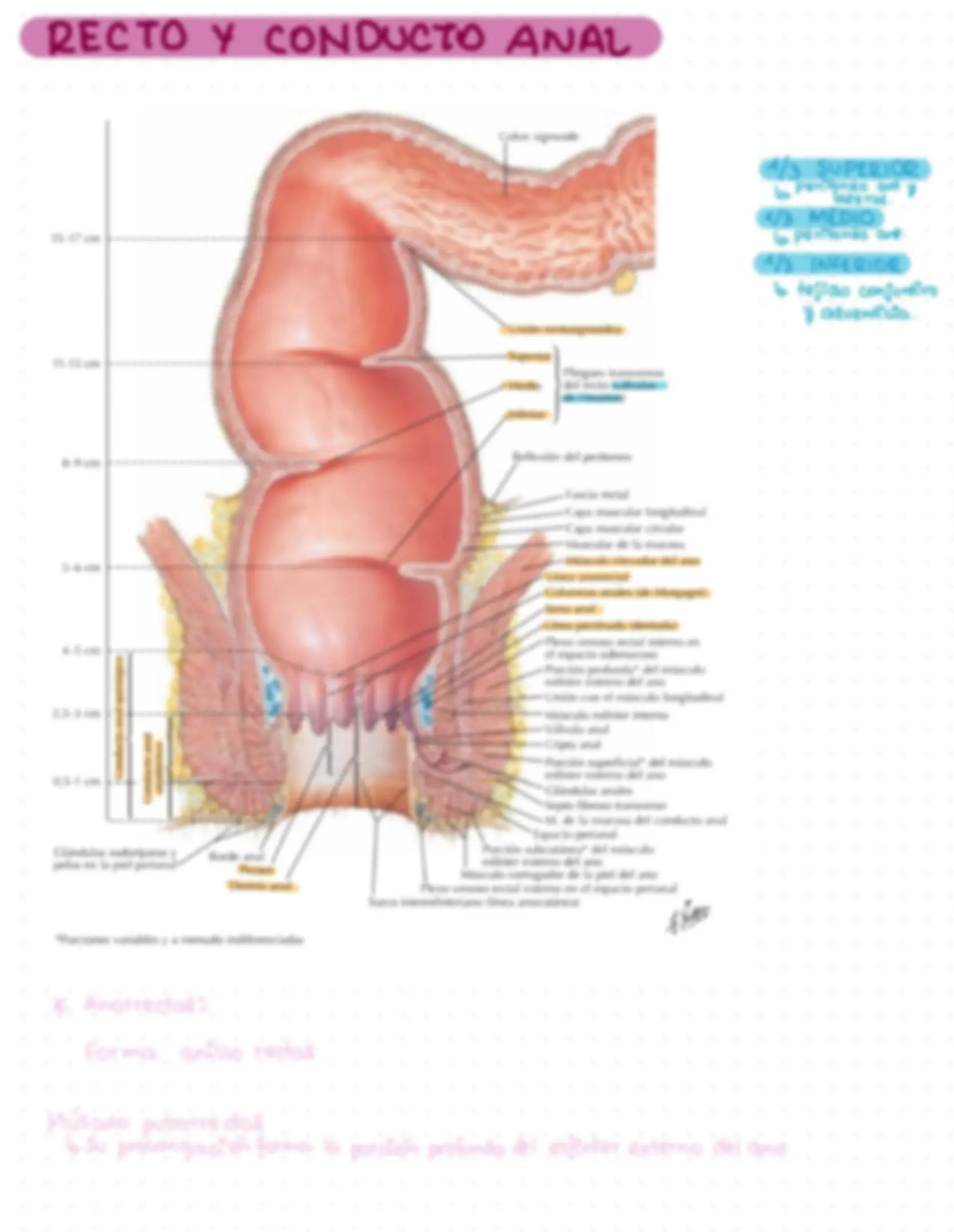 pfa