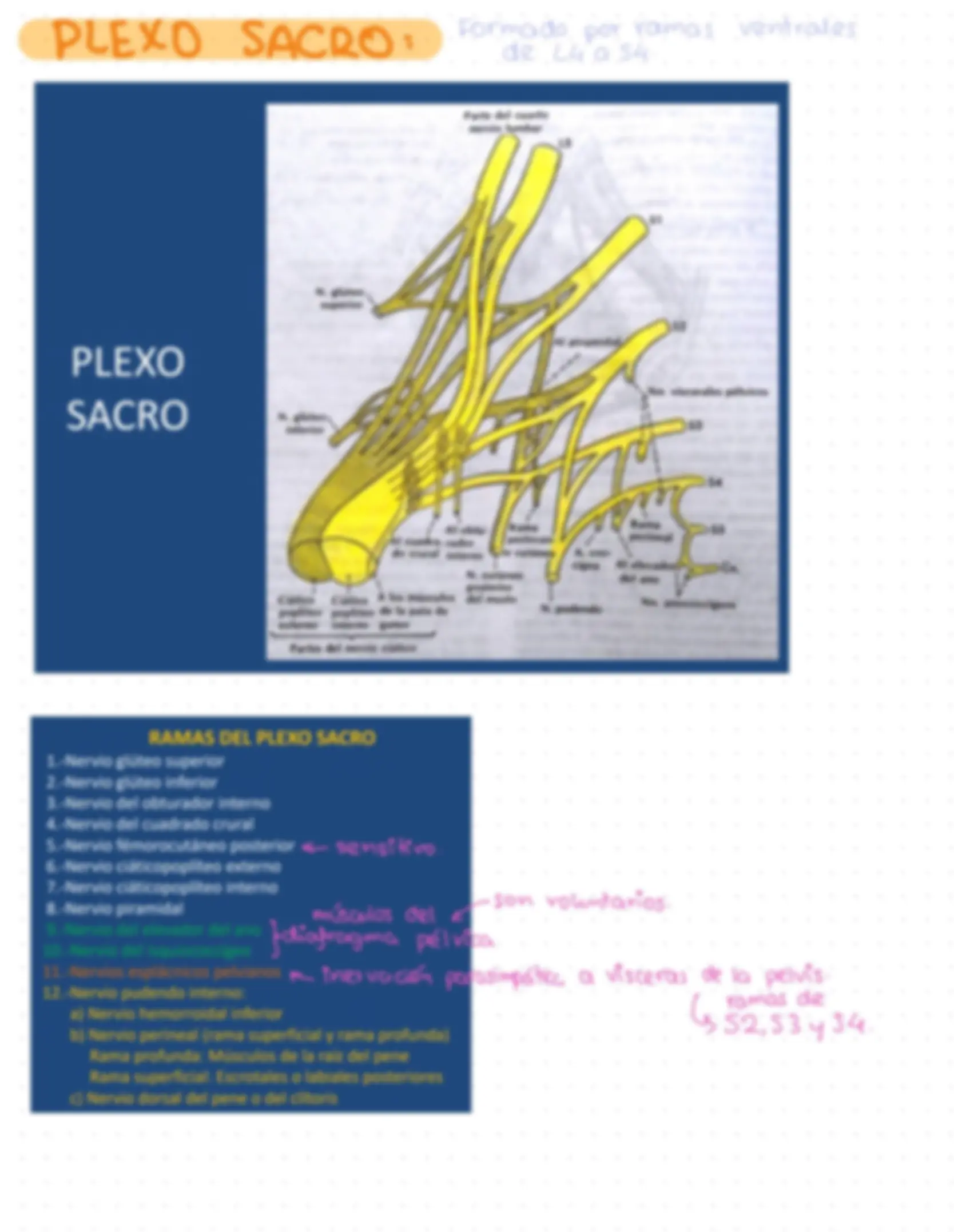 pf3