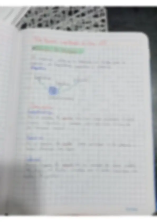 pf5