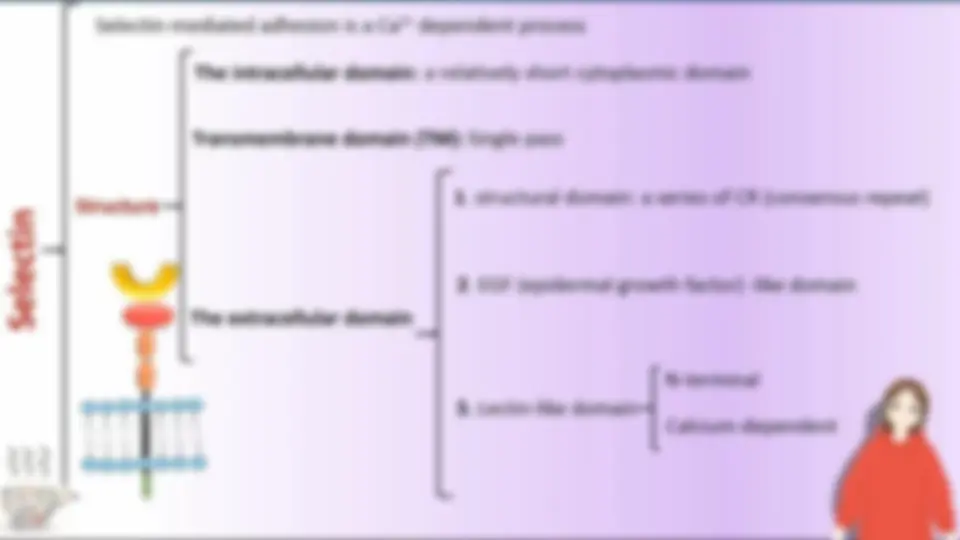 pf13