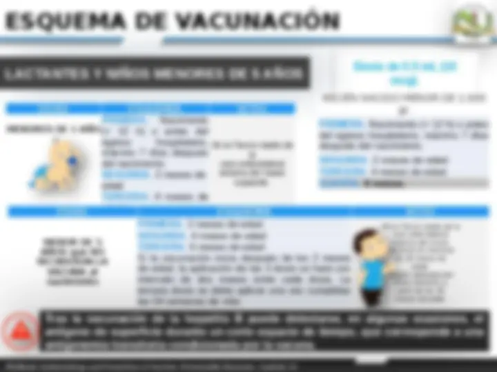 Historia y esquema de vacunación contra la Hepatitis B | Diapositivas ...