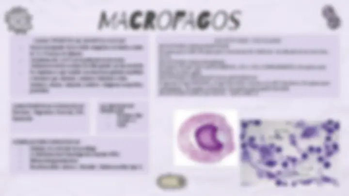 pf3