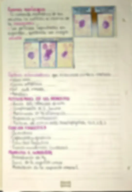 pf3