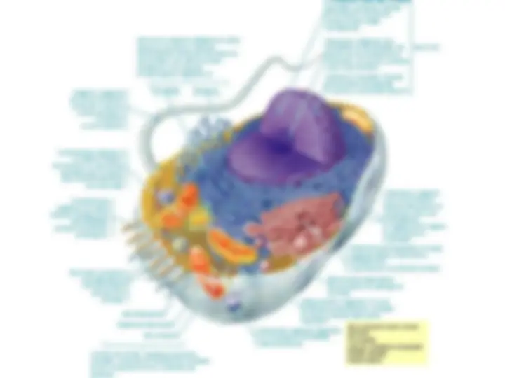 pf37