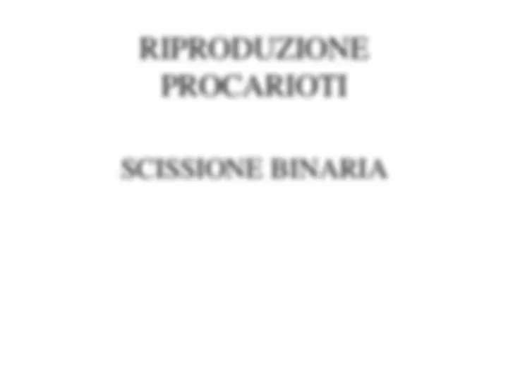 pf21