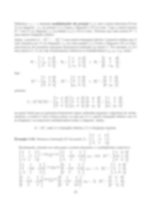 pf21
