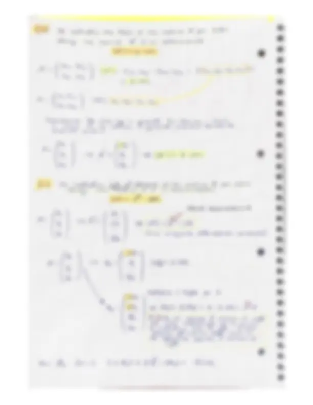 pf24