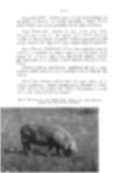 pfa