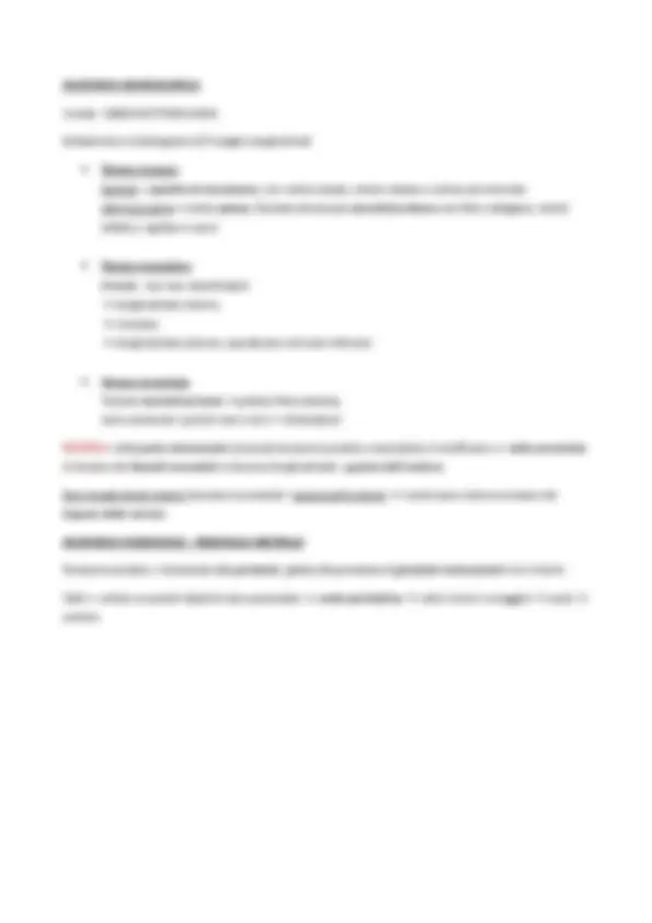 Reparti Renea Anatomia del Rene: Struttura e Funzionamento - Prof. Onori | Dispense ...