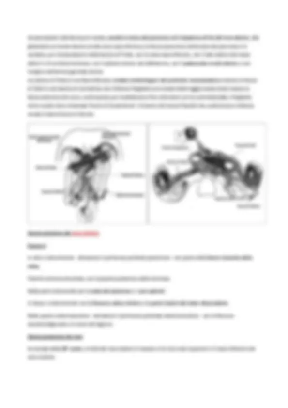 Reparti Renea Anatomia del Rene: Struttura e Funzionamento - Prof. Onori | Dispense ...