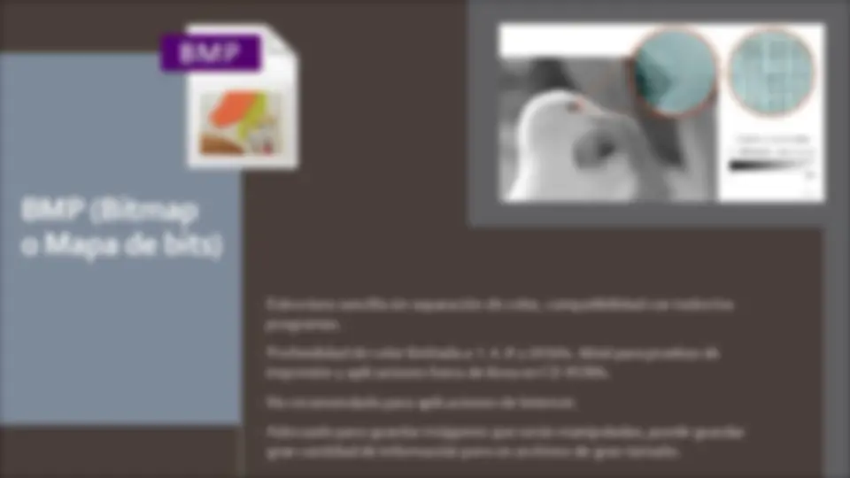 Wbmp Image Examples Tipos de Formatos de Imagen: BMP, JPEG, GIF, PNG, WBMP, TIFF, EPS, PDF ...