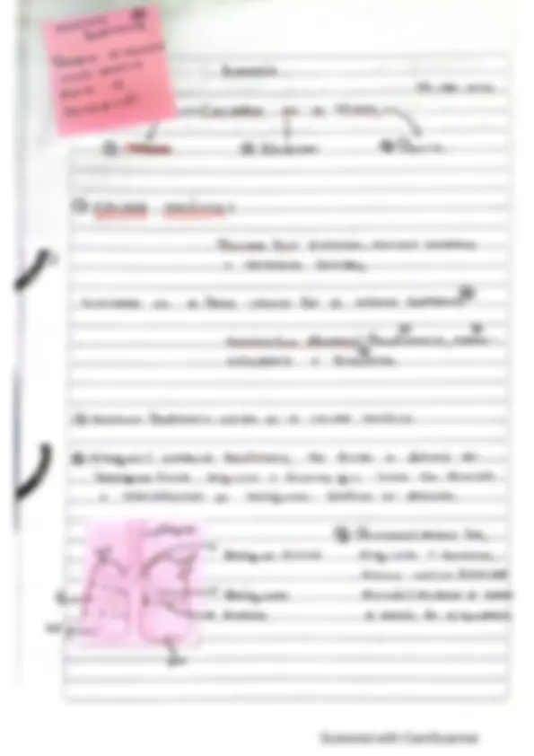 pf13