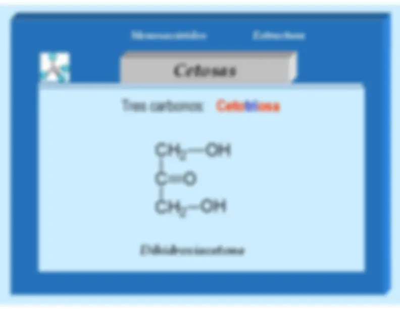 pf1b