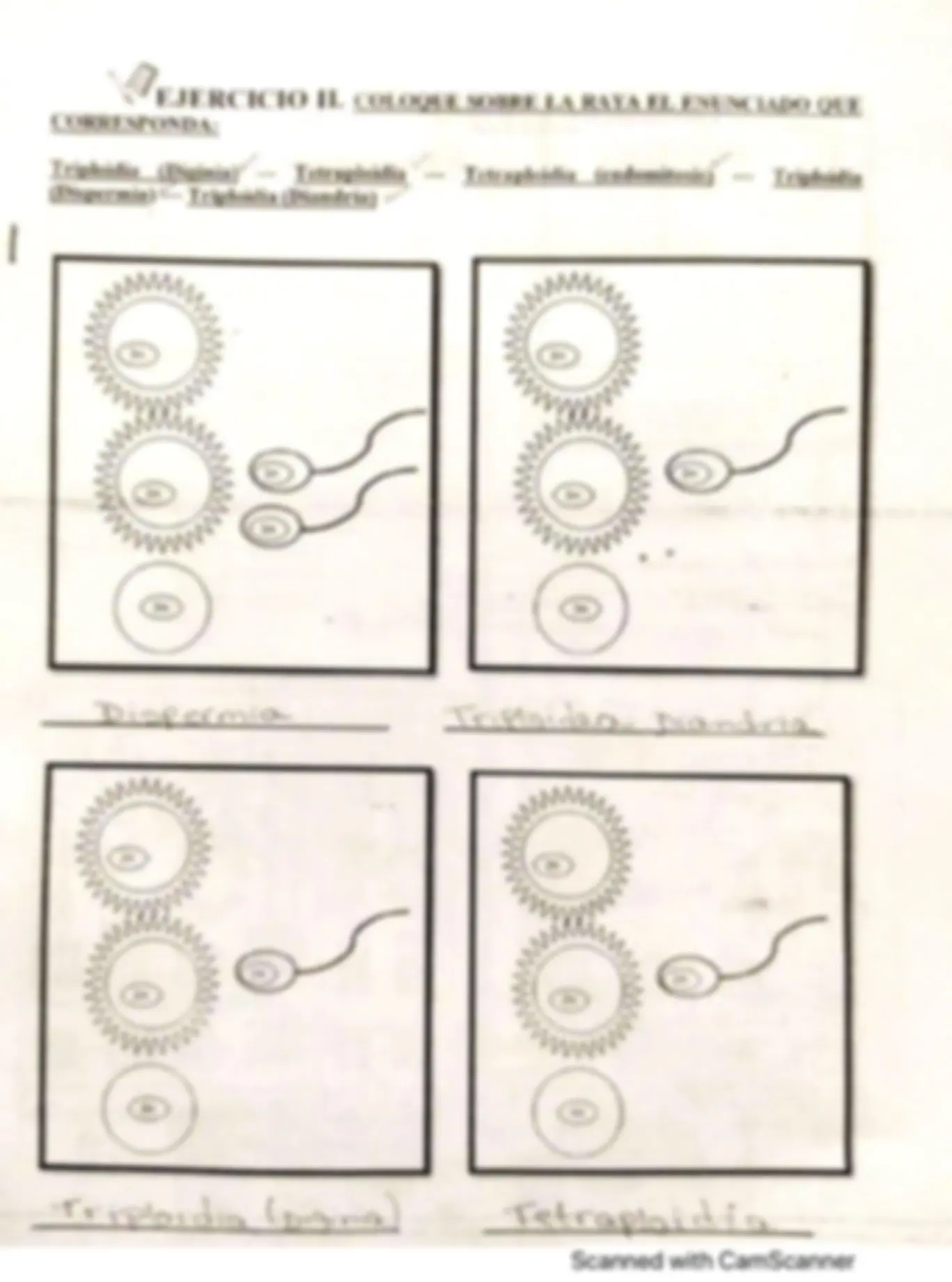 pf4