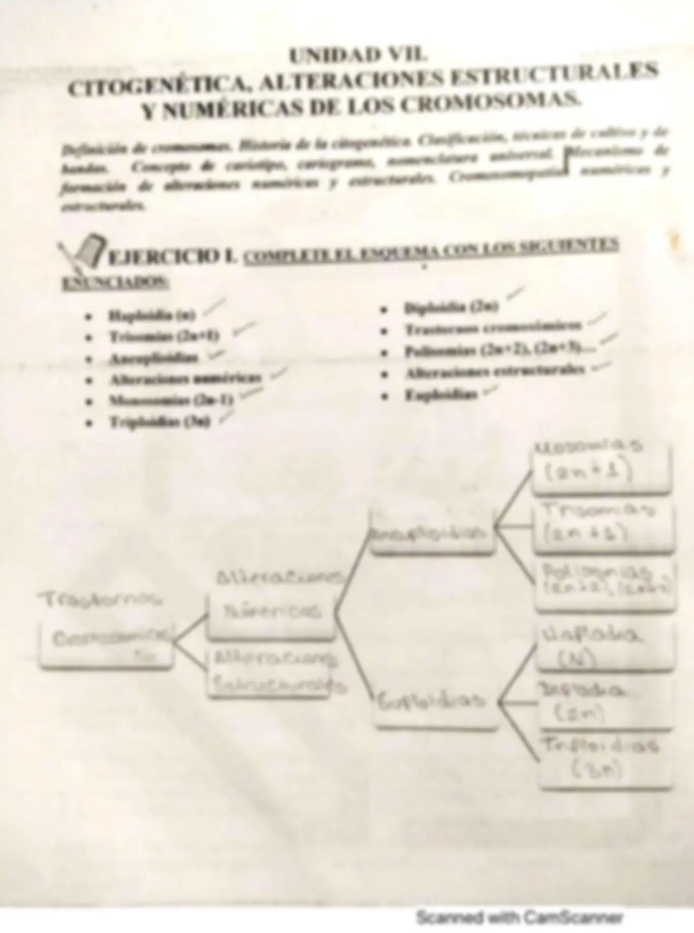 pf3