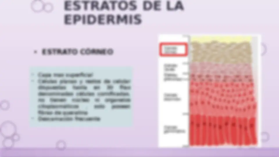 pfe