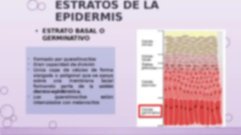 pfa