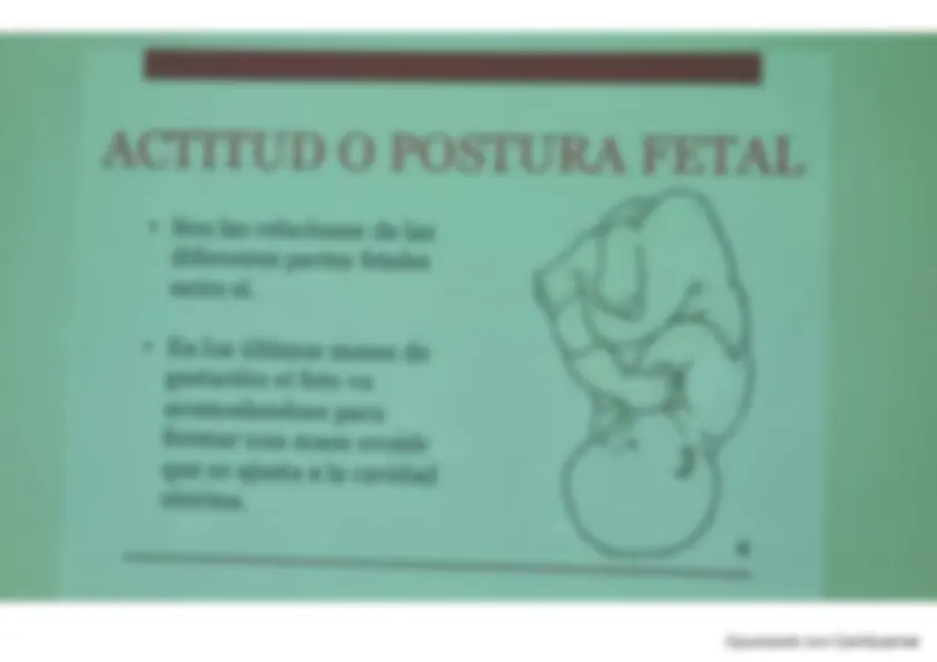 pf3c