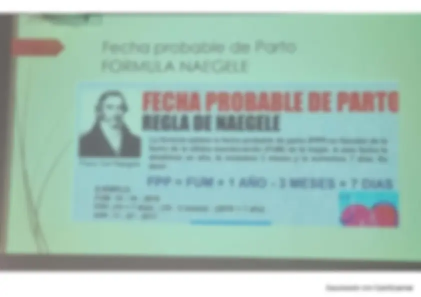 pf16