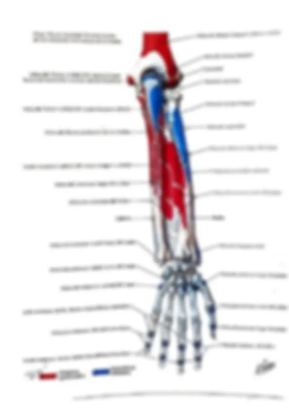 pfa