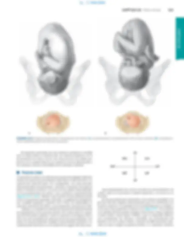 pf3