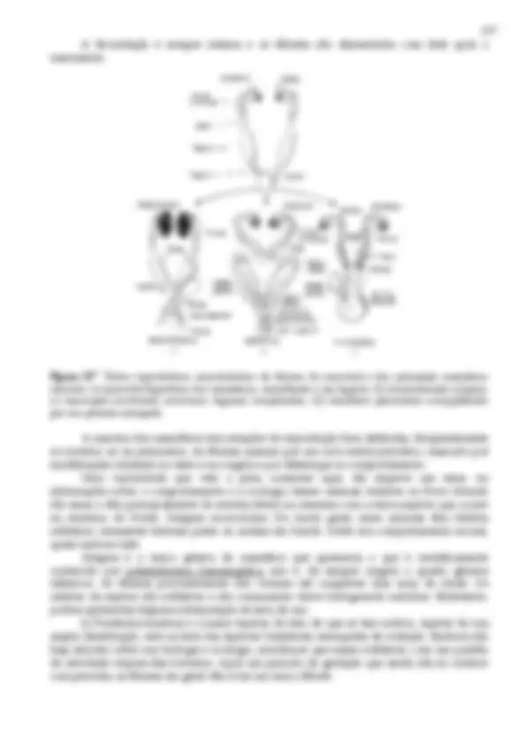 pf2e