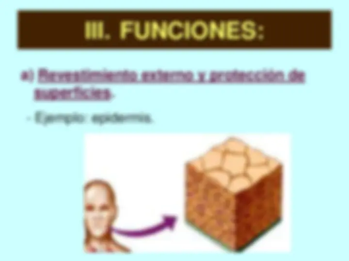pfe