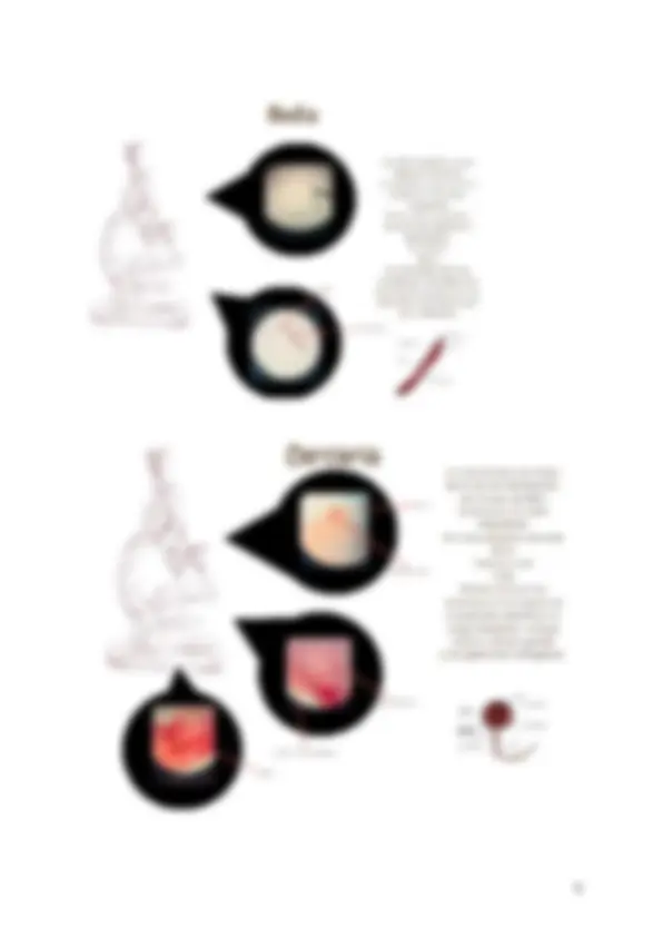 pf5