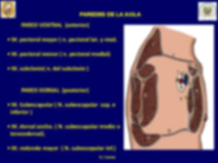 pf5