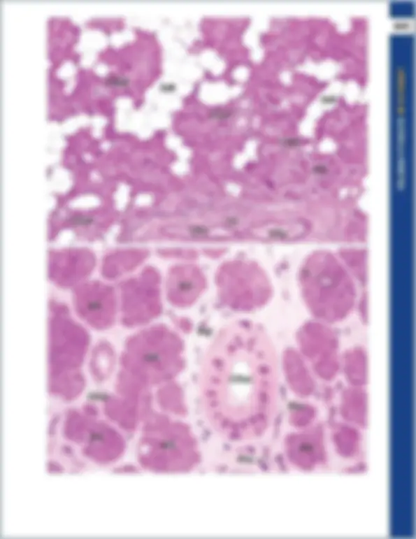 pf28