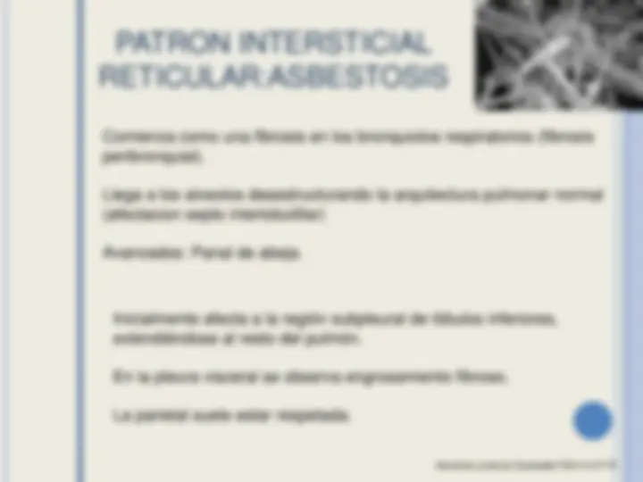 pf23
