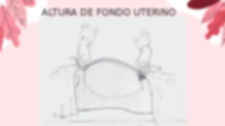 pf24