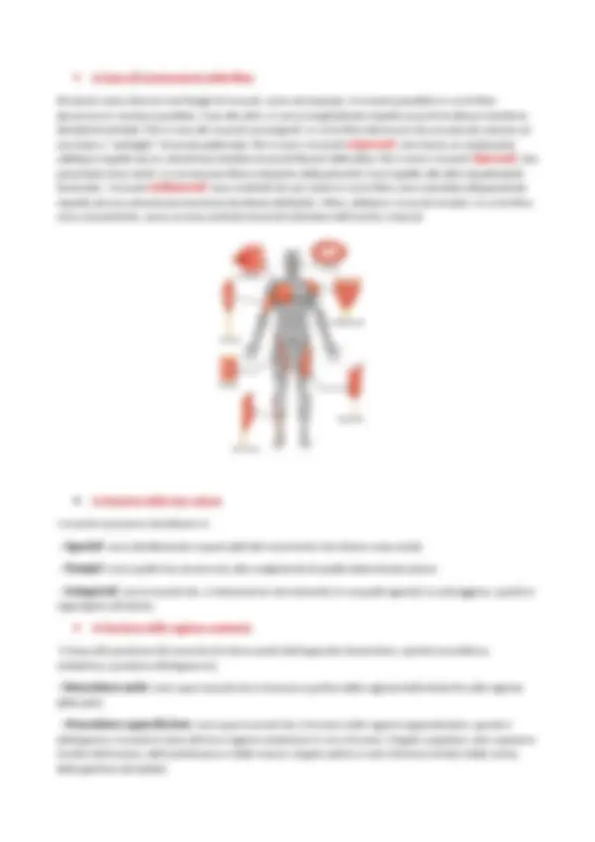 Anatomia Dell organismo Umano Macroscopica E Microscopica Appunti Di anatomia-dell-organismo-umano-macroscopica-e-microscopica-appunti-di